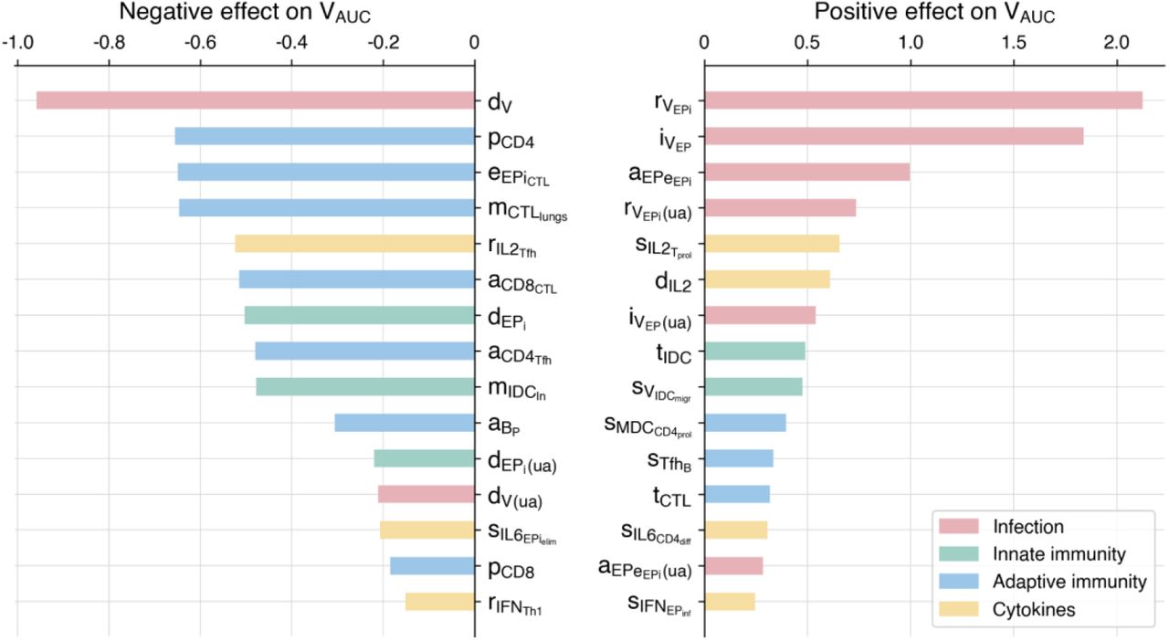 Scaled sensitivity coefficients that have negative (right) and positive (left) effects on the cumulative viral load.