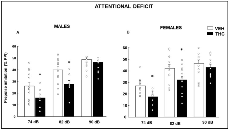 Evaluation of pre-attentional deficits by the % of prepulse inhibition of the acoustic startle response paradigm using 74, 82, and 90 dB prepulse stimuli in male (A) and female (B) mice exposed to dronabinol (THC) on gestation and lactation or its vehicle (VEH). * p < 0.05, THC- vs. VEH-treated group.