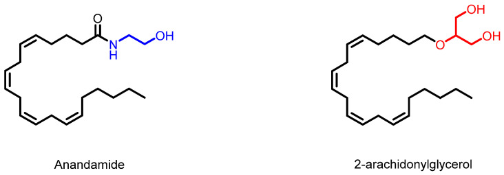 Examples of natural endocannabinoids.