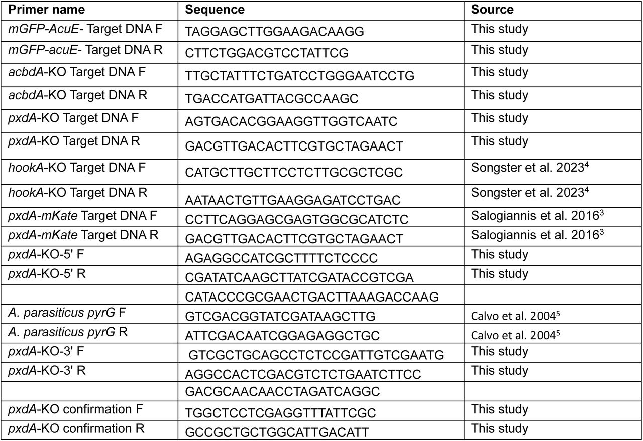 Primers used in this study.