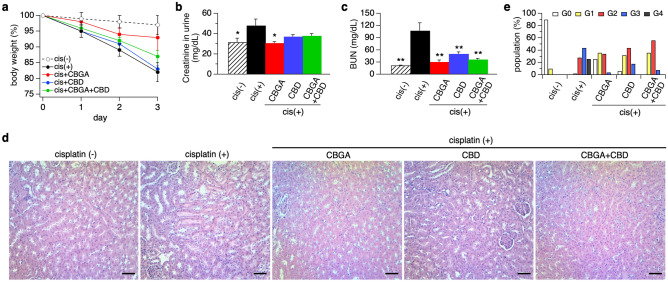 CBGA and CBD prevent kidney functional loss and damage in the cisplatin-induced acute nephropathy mouse model. (a) Body weight of mice was measured daily before administration of CBGA (10 mg/kg, red circles), CBD (10 mg/kg, blue circles), CBGA + CBD (each 10 mg/kg, green circles) from day 0 to day 3. The cisplatin (+) group was injected daily with vehicle in cisplatin-administered mice as a control (cis (+), black circles). Cisplatin was injected 2 h after the first cannabinoid administration at day 0. The animal group without cisplatin administration received vehicle instead of cisplatin as a negative control against cisplatin-induced nephropathy (cis (−), n = 4, white circles). Body weight of each day was normalized by the weight before cannabinoid injection at day 0 and the average is indicated (n = 5). (b) Creatinine levels were determined at day 3 in urine. (c) BUN levels were determined at day 3. (d) Representative pictures of HE staining taken from kidney sections in each treatment group (magnification × 200). Scale bars represent 50 µm. (e) The grading of tubular injury was quantified from HE staining and plotted as follows: G0 (grade 0, none, 0%, white bars); G1 (grade1, weak, ≤ 20%, yellow bars); G2 (grade 2, mild, > 20 to ≤ 50%, red bars); G3 (grade 3, moderate, > 50 to ≤ 80%, blue bars); G4 (grade 4, strong, > 80%, black bars). *p < 0.05, **p < 0.01 vs. cisplatin (+) group.