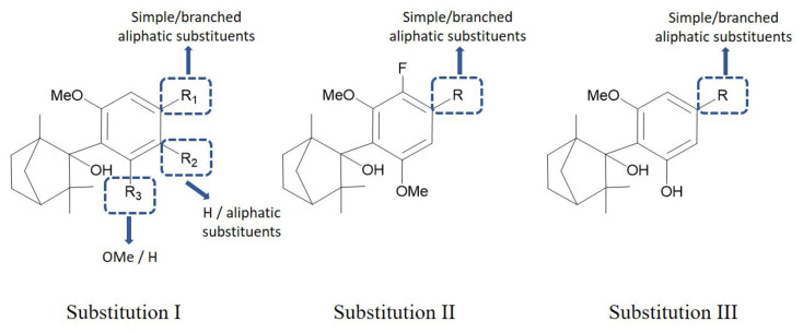 Structural modifications employed in the SAR study.