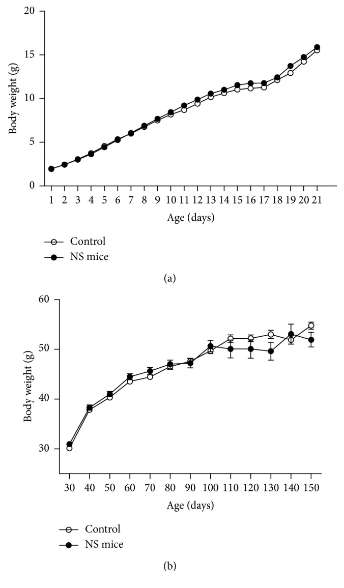 Time course of body weight of control and NS mice (a) during lactation and (b) at different ages from day 30 to 150 (mean ± SEM; n=14 mice/group).