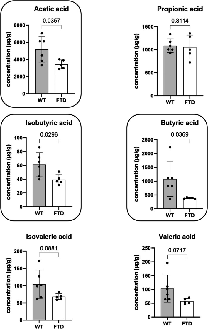 Fecal short‐chain fatty acid levels in FTD mice compared to WT mice. Unpaired t‐test, mean and SD are represented. WT group, n = 6, FTD group, n = 5.