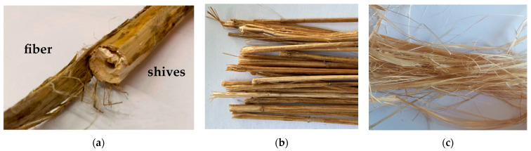 Hemp raw materials: retted (a,b) and bast fibers (c).