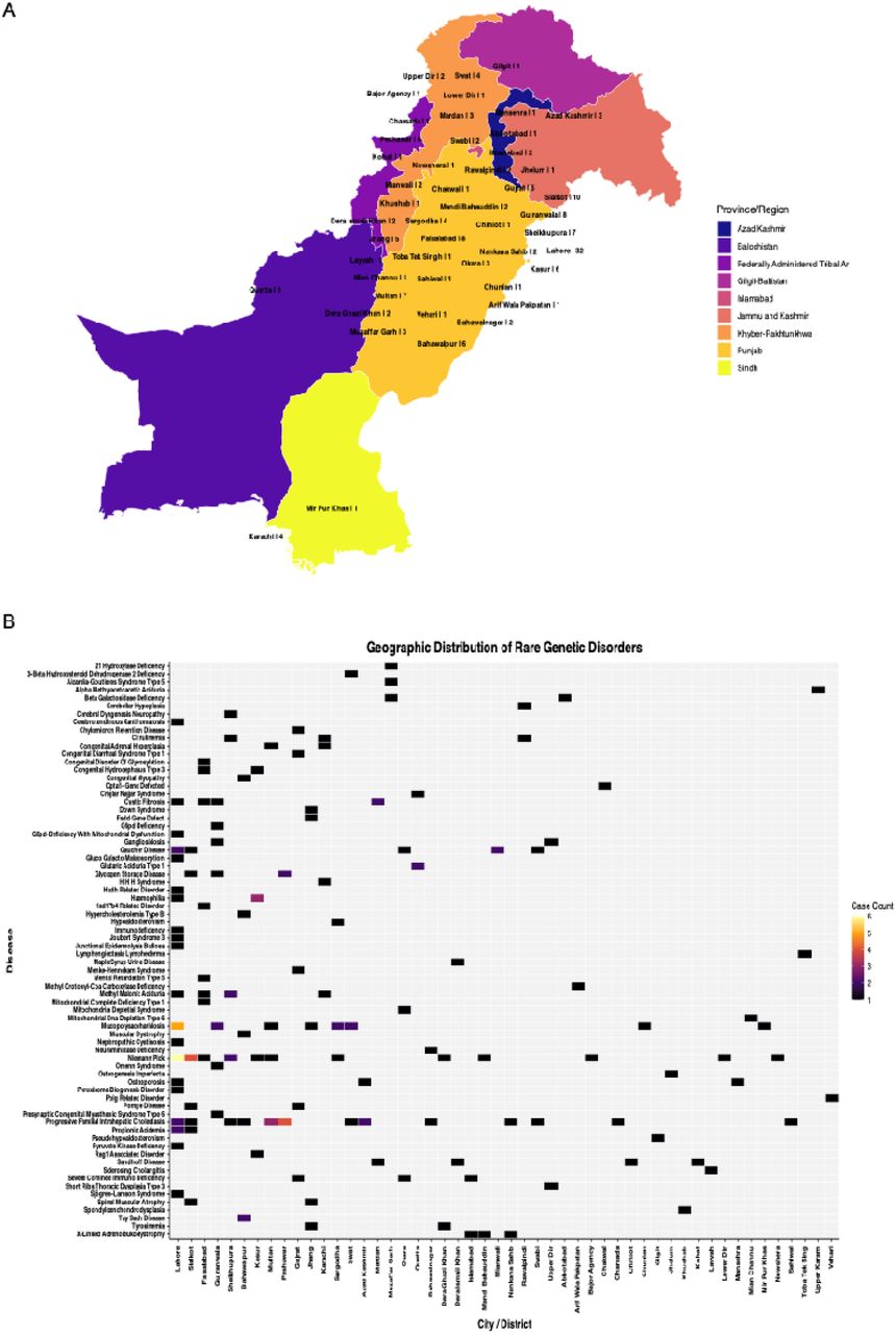 Geographical distribution of RGDsA: The mapping of RGD families across the Punjab Province illustrates the spatial distribution of families affected by RGDs, highlighting regional clustering and population-specific concentration patterns B: The geographical distribution of RGDs in various districts showing areas with higher and lower disease occurrence