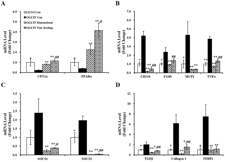 Rimonabant mediates gene expression responsible for lipid catabolism and cell death in the livers of OLETF rats.mRNA levels involved in fatty acid oxidation (A), proinflammatory cytokines (B), negative inflammatory markers (C), and fibrosis (D) were analyzed by RT-PCR and normalized for all samples to GAPDH level. The value of each bar is represented as mean ± SEM (n = 4–5 per group). *P < 0.05; **P < 0.01 compared to OLETF control rats (OLETF con). #P < 0.05; ##P < 0.01 compared to rimonabant-treated OLETF rats (OLETF rimonabant).