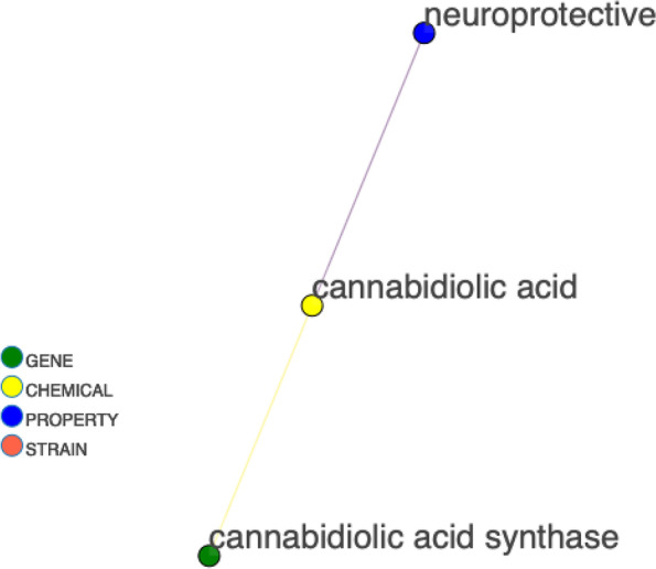 Synthase gene to therapeutic property linkage. Sub-graph for CBDA synthase and neighbors