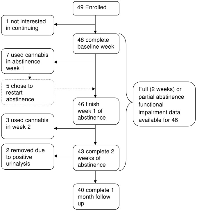Flow chart depicting study participation.