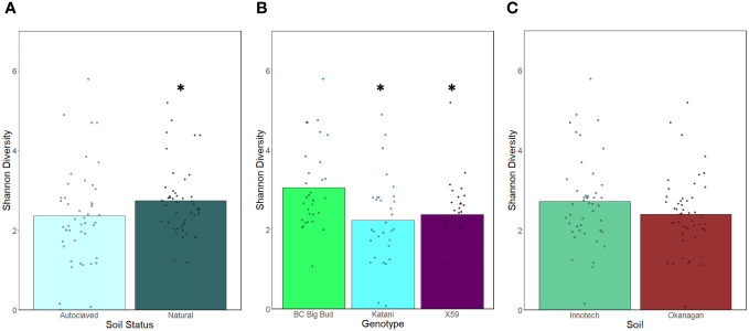 Effect of soil autoclaving, soil origin, and cannabis genotype on alpha-diversity of cannabis seedling endospheres. Shannon diversity was compared using a Kruskal-Wallis (pairwise) test. (A) Soil sterilization resulted in a significant drop in alpha-diversity when pooling genotypes and soils (p=0.03730). (B) Katani and X59 had significantly lower alpha diversity when all soil treatments were considered together (p= 0.00333, 0.01516 respectively). (C) Innotech and Okanagan soil showed no significant difference in alpha-diversity when all genotypes and soil sterilization treatments were pooled p=0.19651). Asterisks indicate significant effects.