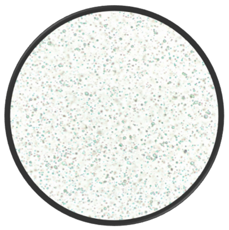 Light microphotograph of flaxseed oleosomes isolated by aqueous extraction and captured with an Echo Revolve microscope at 40× magnification.