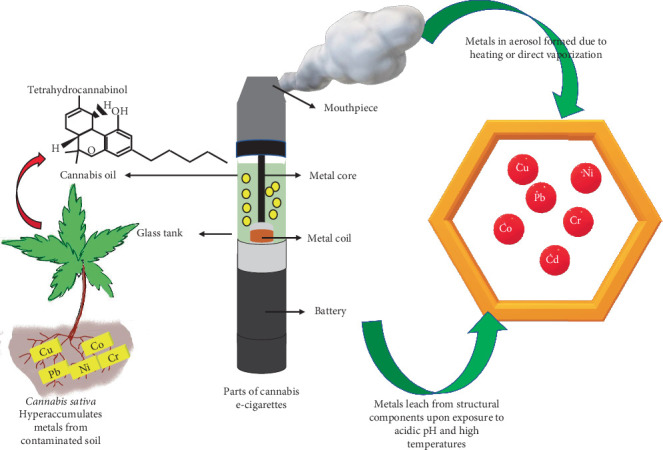 Parts of cannabis vapes and heavy metals released.