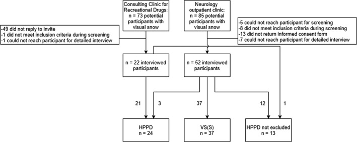 Flowchart of participant inclusion. HPPD, hallucinogen persisting perception disorder, VS(S), visual snow (syndrome). See Methods section for full study group definitions