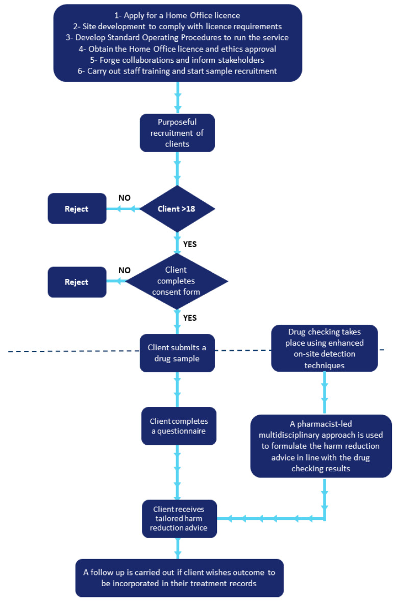 A summary of the study process.