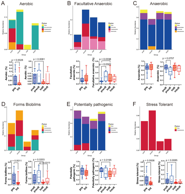Six panels (A-F) display bar charts and box plots related to microbial communities. Each panel corresponds to different characteristics: aerobic, facultative anaerobic, anaerobic, forms biofilms, potentially pathogenic, and stress tolerant. Bar charts show relative abundance across groups (Pre, Int, Pre-R, Int-R). Box plots display statistical comparisons with p-values marked, illustrating shifts in microorganism presence by category and group.