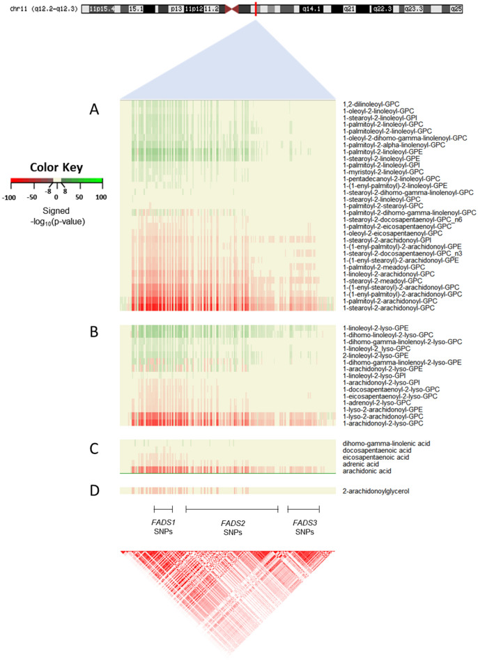 FADS locus genetic variation associations with lipid metabolites. Heatmaps depicting the significance (− log10[p value]) and effect direction for associations between 52 metabolites and chromosome 11 SNPs in the FADS locus (± 100 kb) that reached a significance threshold (p < 1.2 × 10–8). The effect direction and significance of association between the alternative (alt) allele and the metabolite levels are depicted by color (see color key). Green color indicates significantly higher metabolite levels associated with increasing numbers of the SNP alt allele. In contrast, red depicts lower metabolite levels associated with increasing numbers of the alt allele. The neutral beige color indicates associations p ≥ 1.2 × 10–8. The heatmaps are separated by four major lipid classes including from top to bottom: (A) PL (31 metabolites), (B) lyso-PL (15 metabolites), (C) free fatty acid (5 metabolites), and (D) endocannabinoid (1 metabolite). The LD plot represents R2 values using the CEU population from the 1,000 Genomes Project.