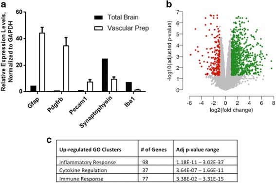Transcriptomic profiling of neurovascular unit after LPS challenge. a Expression profile of cell type-specific makers in neurovasculature preparation. b Volcano plot of statistically significant upregulated (green) and downregulated (red) genes in the neurovascular unit after LPS challenge. c Gene ontology clusters for up- and downregulated genes identified using DAVID bioinformatics resource. Neurovasculature was isolated 4 h post last LPS dose. Data are means ± SEM, n = 4/5 mice per group