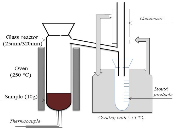 A schematic representation of the torrefaction set-up.