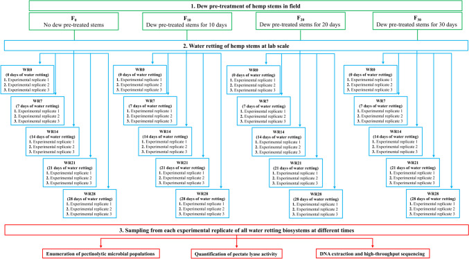 Scheme of experimental design and sampling procedures