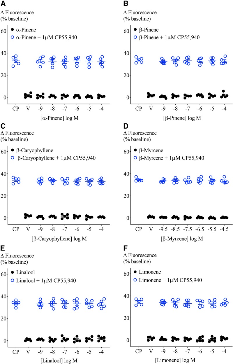 Effect of terpenoids at varying concentrations on AtT20-CB1 membrane potential and on 1 μM CP55,940-induced hyperpolarization. Terpenoids (A) α-pinene, (B) β-pinene, (C) β-caryophyllene, (D) β-myrcene, (E) linalool, and (F) limonene were added to AtT20-CB1 cells and incubated for 5 min. Maximum fluorescence changes were not different from negative control (closed circles, n=5, SEM, one-way ANOVA p>0.05). CP55,940 (1 μM) addition to AtT20-CB1 cells induced fluorescence changes from 33.1%±1.7% to 34.6%±0.7%. Peak CP55,940 responses were not affected by the presence of terpenoids (open circles, n=5, SEM, one-way ANOVA p>0.05). V, vehicle.