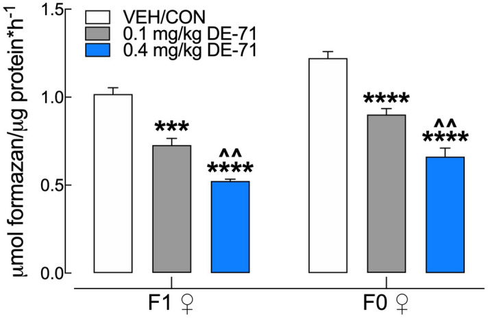 DE-71 exposure reduces hepatic activity of glutamate dehydrogenase (GDH) in F1 and F0 female mice. DE-71 exposure decreased GDH activity in F1 and F0 in a dose-dependent manner, producing greater reduction in the 0.4 mg/kg dose groups. *Indicates significantly different from VEH/CON (***P < .001, ****P < .0001); ^indicates significantly different from 0.1 mg/kg DE-71 (^^P < .01). Dunnett's T3 (F1) or Tukey’s (F0) post-hoc tests were used. Bars and error bars represent mean ± s.e.m. n = 6–8/group. GDH glutamate dehydrogenase, F1 female offspring, F0 dams.