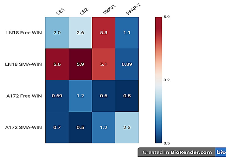 Heatmap of receptor expression changes in LN18 and A172 glioblastoma cells. Fold changes (FCs) for CB1, CB2, TRPV1, and PPAR-γ after 48 h treatment with free WIN 55,212-2 (free WIN) or SMA-WIN 55,212-2 (SMA-WIN) are shown. Red indicates significant upregulation (FC > 1.5, p < 0.05), blue indicates significant downregulation (FC < 0.67, p < 0.05), and white indicates non-significant changes (FC between 0.67 and 1.5, or p ≥ 0.05). Data are derived from RT-PCR analysis, with fold changes relative to untreated controls. SMA-WIN’s notable PPAR-γ upregulation (2.3-fold) in mesenchymal A172 cells highlights its subtype-specific mechanism.