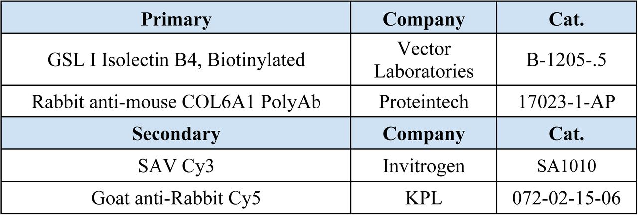 Lung Immunofluorescence Panel