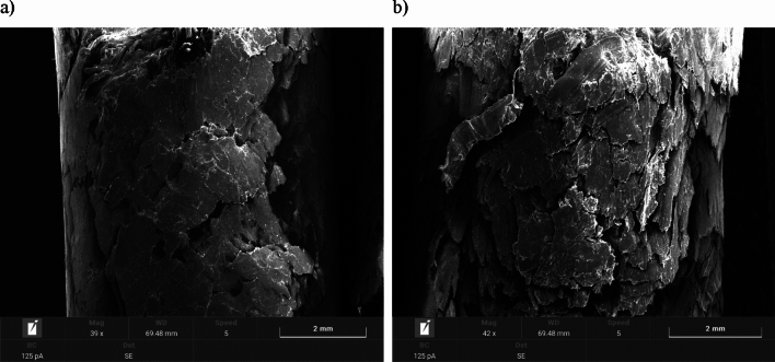 Pellet B: (a) surface area of fresh pellets; (b) surface area of pellets after moisture test.