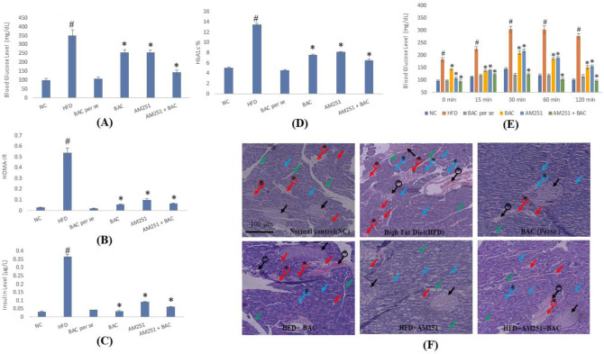 Figure depicts the effect of BAC and AM251 on blood glucose (A), HOMA-IR (B), serum insulin (C), percentage HbA1c (D), and blood glucose level after OGTT at 0, 15, 30, 60, and 120 min (E). All values were expressed as mean ± SD whereas, ‘#’ represents P<0.001 vs Normal Control; ‘*’ represents P<0.001 vs HFD-fed group. (F) Reveals the histological architecture of pancreatic tissue in diverse groups of treatments. The black arrow shows the circular shape of the islets of Langerhans. Blue arrow shows packed in acinar cells. The red arrow shows pancreatic intact intralobular septa present in exocrine components. The green arrow shows the intact interlobular septa. Black arrow with * shows damage to or entire loss of islets of Langerhans. The Blue arrow with * shows swelled acinar cells with small vacuoles, and the red arrow with * shows flattened interlobular duct