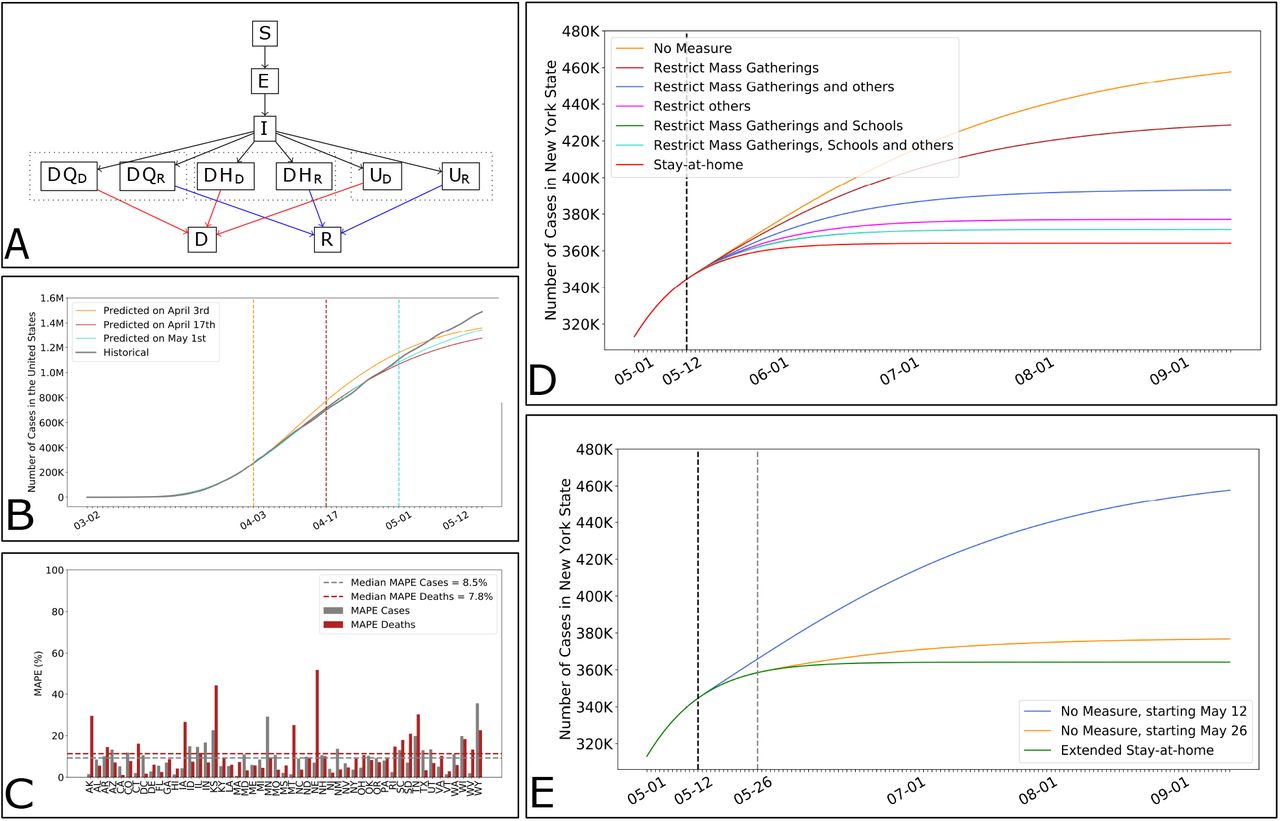 DELPHI, an epidemiological model to guide government response. (A) Simplified flow diagram of DELPHI. (B) Cumulative number of cases in the United States according to our projections made at different points in time, against actual observations. (C) Out-of-sample Mean Absolute Percentage Error (MAPE) on the number of cases and deaths per US state. (D) Impact of different policies on the future number of cases, in NY. (E) Impact of the timing of policies on the future number of cases, in NY.