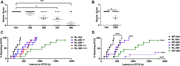 CBD significantly increases resistance against induced seizures. (A) A dose-response curve was generated using the 6 Hz seizure induction paradigm. Both 320 and 360 mg/kg CBD were able to protect against 6 Hz seizures in RL/+ mutants. N = 9–12/group. (B) We retested the highest dose of CBD (360 mg/kg) in a separate cohort of RL/+ mutants and found that it was also able to significantly increase resistance against 6 Hz seizures at twice the convulsive current (2xCC, 32 mA). N = 8–12/group. (C) We generated a dose-response curve using the PTZ seizure induction paradigm, and similarly observed a dose-dependent increase in the latency to the first generalized tonic-clonic seizure (GTCS). N = 9/group. Significance was determined when compared to vehicle-treated RL/+ mutants. (D) RL/+ mutants and WT littermates were treated with CBD (200 or 360 mg/kg) or vehicle and subjected to PTZ administration. We observed significant protection against PTZ-induced seizures with both doses of CBD. N = 8–10/group. Significance was determined when compared to vehicle-treated mice of the same genotype. *p ≤ 0.05, **p ≤ 0.01, ***p ≤ 0.001, ****p ≤ 0.0001.