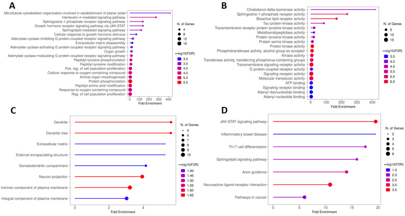 GO and KEGG enrichment analysis of hub targets among genes overlapping calcitriol and depression. The GO enrichment analysis obtained 20 main terms related to (A) BP, (B) MF, and (C) CC. (D) The top 20 pathways were obtained by KEGG analysis. Abbreviations: BP, biological process; MF, molecular function; CC, cell composition.