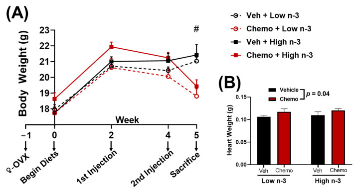 (A) Body weight and (B) heart weight between groups. Data presented as group means ± SEM (n = 9/group). Two-way ANOVA was used to detect differences between groups. #—p < 0.05 difference between vehicle and chemo mice. Chemo—9 mg/kg anthracycline + 90 mg/kg cyclophosphamide injections; ♀-OVX—female ovariectomy; Veh—saline vehicle injections; Low n-3—0 g/kg EPA + DHA diet; High n-3—12.2 g/kg EPA + DHA diet (~2% kcal).