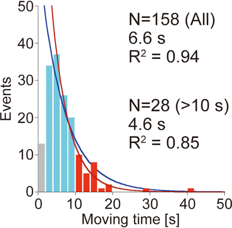 Distribution of moving time. Distribution of moving time for Intact was fitted by single exponential decay functions. Blue and red lines are fittings with the whole range and using only the range more than 10 s, respectively. The first bin was excluded from fittings. The N values represent numbers of analyzed molecules.