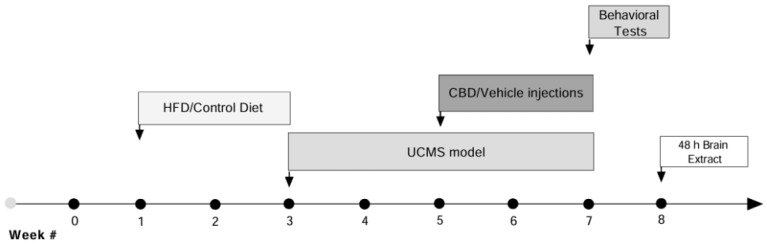 Experimental design: Female rats were fed either a high-fat diet (HFD) or a control diet (CD) for 2 weeks. This was followed by 4 weeks of exposure to the unpredictable chronic mild stress (UCMS) model or no stress exposure. During the final 2 weeks of the UCMS period, both UCMS-exposed and non-UCMS groups received daily intraperitoneal (i.p.) injections of either vehicle or cannabidiol (CBD; 10 mg/kg). Subsequently, behavioral tests were conducted, including the open field test (OFT), sucrose splash test (SST), social interaction (SI) test, and forced swim test (FST). On day 60, rats were anesthetized using 2% isoflurane and subsequently euthanized by rapid decapitation. Trunk blood was collected for serum leptin levels analysis, and brains were harvested for gene expression analysis in the ventromedial prefrontal cortex (vmPFC) and hippocampus. Each experimental group included 10 female rats used for behavioral testing, and 8 rats per group were selected for qRT-PCR analyses (# indicates the week number).