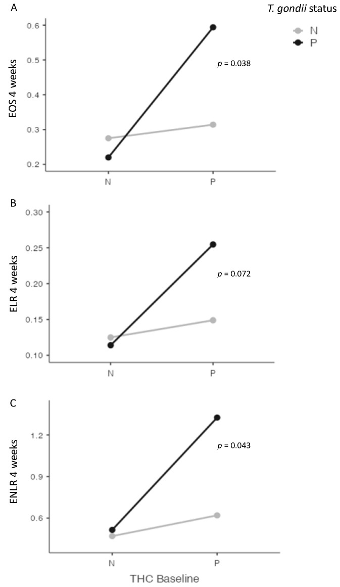 Interactions between cannabis and T. gondii status for eosinophils (EOS) (A), eosionophils–lymphocytes ratio (ELR) (B), and eosinophils–neutrophils–lymphocytes ratio (ENLR) (C) at four weeks after cannabis cessation. Significant interactions were found between cannabis and T. gondii status for EOS and ENLR levels four weeks after cannabis cessation, with a statistical trend for ELR level. THC = tetrahydrocannabinol; N: Negative; P: positive.