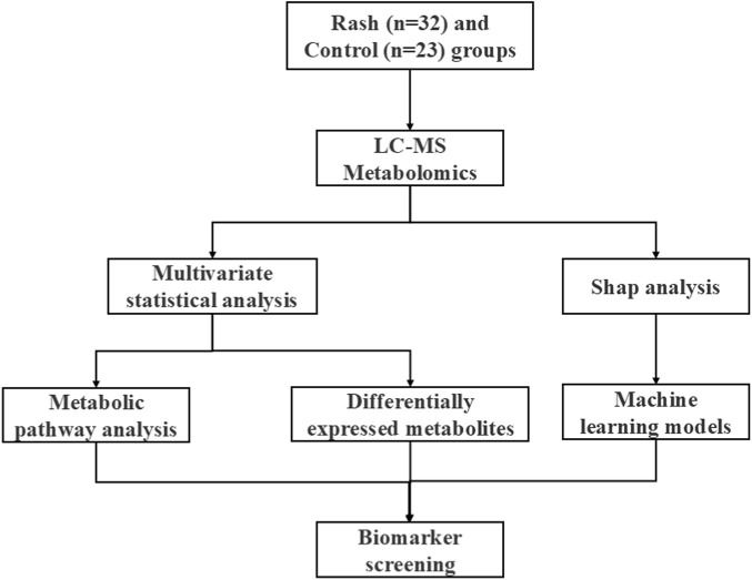 Flowchart showing the analysis pipeline for Rash and Control groups using LC-MS metabolomics, leading to multivariate statistics with metabolic pathway analysis and differentially expressed metabolites, Shap analysis, machine learning models, and biomarker screening.