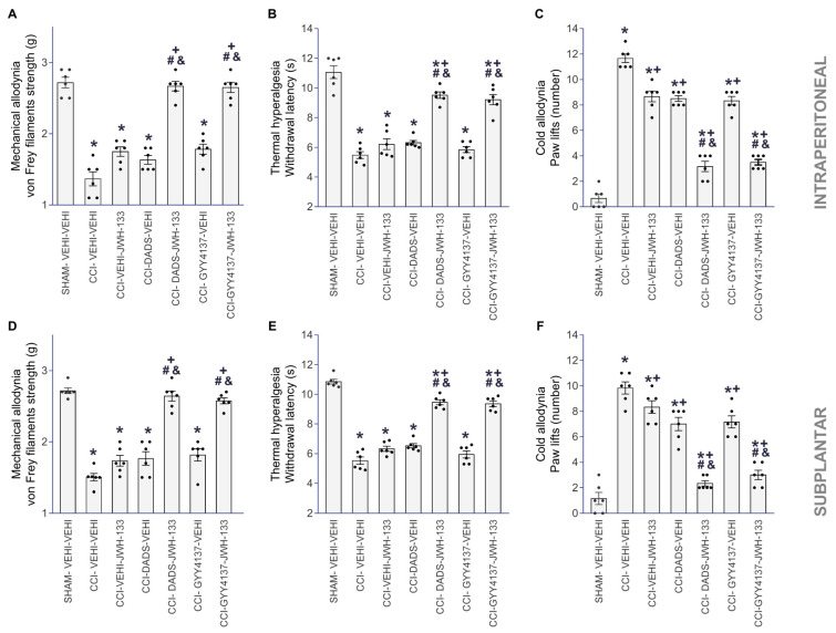 The analgesic actions of JWH-133 co-administered with DADS or GYY4137 in CCI mice. Effects of the co-administration of 3.5 mg/kg of DADS or 0.7 mg/kg of GYY4137 with 2 mg/kg or 5 µg of JWH-133, injected intraperitoneally or subplantarly, on the mechanical allodynia (A,D), thermal hyperalgesia (B,E) and cold allodynia (C,F) caused by CCI in the ipsilateral paws are displayed. The actions of these drugs injected alone are also presented. For each assay, the symbols denote significant changes versus * SHAM–VEHI–VEHI, + CCI–VEHI–VEHI, # CCI–VEHI–JWH-133 and & CCI–DADS–VEHI or CCI–GYY4137–VEHI (p < 0.05; a one-way ANOVA, followed by Tukey test). VEHI (vehicle). The results are presented as the mean values ± SEM; n = 8 animals/group.