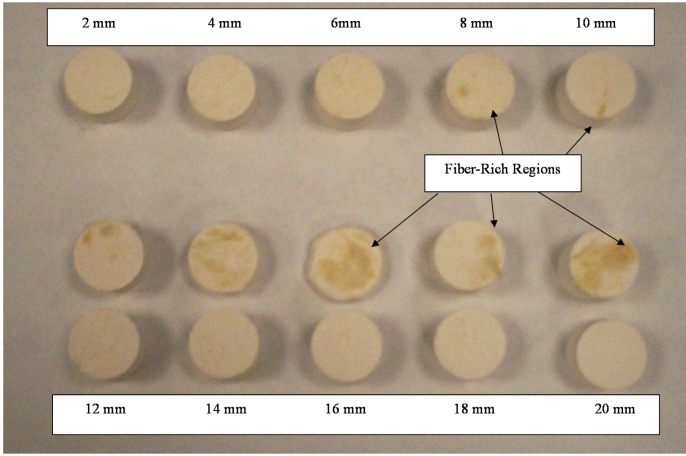 Cross sections of soy silk samples, 2–20 mm fiber lengths, uncut samples in bottom row.