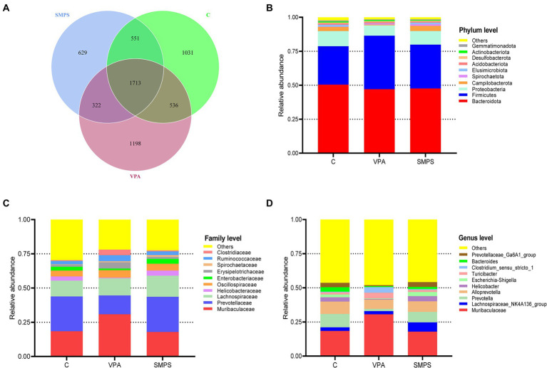 Characteristics of the gut microbiota among the SMPS, VPA and C groups (n = 8 per group). (A) Venn diagram for these groups. The number of mutual ASVs in the groups. Top 10 species at the (B) phylum level, (C) family level, and (D) genus level. (SMPS, SMPS intervention group; VPA, VPA induced autism model group; C, control group).