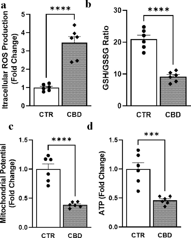 Effect of CBD on intracellular ROS, cellular glutathione balance, mitochondrial potential, and ATP content in PC3 cells.Quantitative measurements of (a) intracellular ROS (b) reduced and oxidized glutathione ratio (c) Mitochondrial membrane potential and (d) ATP generation from PC3 cells treated with vehicle (CTR) or CBD (10μM). Statistical analyses: *** p<0.001 CBD vs CTR; **** p<0.0001 CBD vs CTR, n = 6/group.