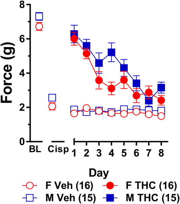 Development of tolerance to the anti-allodynic effects of 10 mg/kg of ∆9-THC in male and female wild-type mice. Tolerance to the anti-allodynic effects of vehicle (unfilled) and 10 mg/kg (filled) ∆9-THC was determined in both male (squares) and female (circles) wild-type (WT) mice using the von Frey. Mice were first assessed for the amount of force (in grams) required to elicit a paw withdrawal response 60 min following treatment with vehicle and 60 min later following treatment with 10 mg/kg ∆9-THC. BL represents the pre-cisplatin baseline and CISP the post-cisplatin baseline. Error bars represent the mean ± SEM. Each mouse was tested in triplicate and those values averaged to determine a single value for each mouse for each dose tested on each day of testing. Data were analyzed using separate two-way ANOVAs with Bonferroni post-hoc tests. Sample sizes for each group (shown in parentheses) include 15 male and 16 female WT mice.
