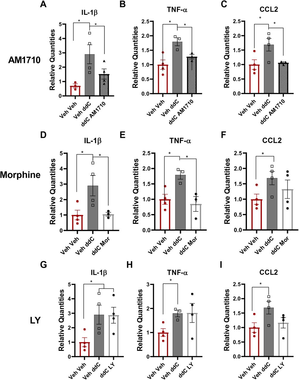 Impact of ddC and systemic (i.p.) administration of AM1710, morphine and LY2828360 on expression levels of IL-1β, TNF-α and CCL2 mRNAs in lumbar spinal cord derived from male wildtype mice.(A, B, C) AM1710 blunts ddC-evoked increases in IL-1β, TNF-α and CCL2 mRNAs. Morphine blunts ddC-induced increases in IL-1β, TNF-α mRNAs (D,E,F), whereas LY2828360 fails to alter ddC-induced increases in IL-1β, TNF-α and CCL2 mRNAs (LY; G, H, I). ddC treatment (Veh ddC) induced upregulation of IL-1β, TNF-α and CCL2 mRNAs compared to saline treated groups that were similarly injected with vehicle (Veh-Veh). Values were calculated using the 2(-ΔΔCt) method with GAPDH was used as reference gene and all groups compared to the Veh Veh group. Data are expressed as mean ± S.E.M. (n=4 per group). * p<0.05, one-way ANOVA. Mor: morphine, LY: LY2828360.