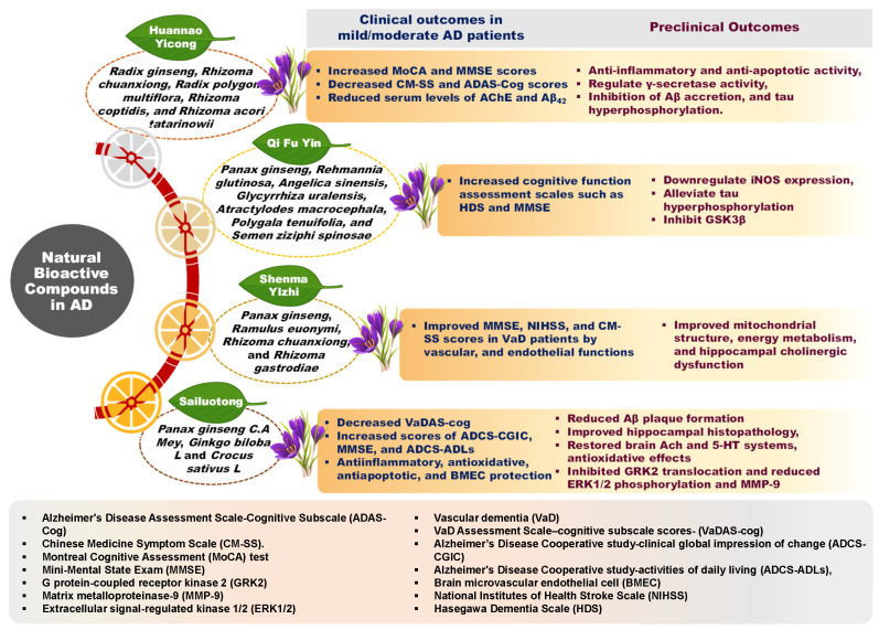 Panax ginseng-enriched natural Chinese medicinal formulations and their DB efficiency in preclinical and clinical trials. These DBs have significantly improved the different assessment scores related to cognitive functions and daily life activities of mild/moderate AD patients. In preclinical models, these DBs have shown anti-inflammatory, antioxidant, anti-apoptotic actions, etc. The abbreviations for various scores are shown in the box below.