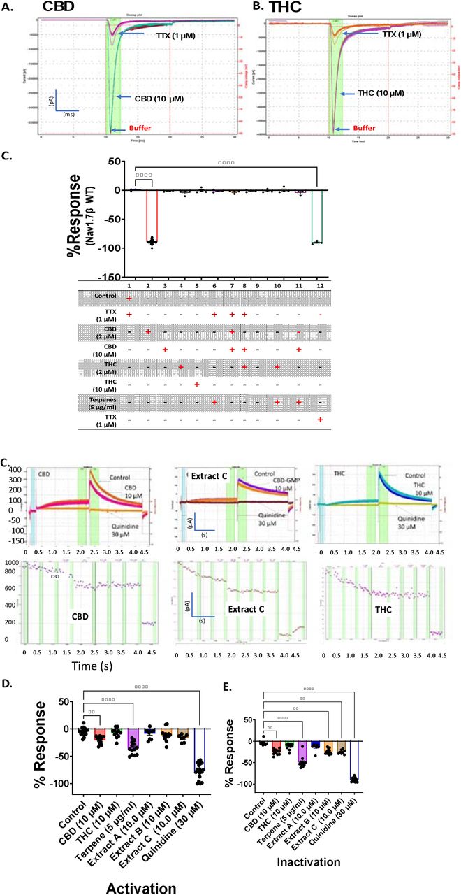 Off-target effect of the cannabinoid ligands on Nav1. 7β and hERG.(A-B) Example traces showing the effect of (A) 10 µM CBD and (B) 10 µM THC, as well as 1 µM TTX on Nav1. 7β (HEK293) channels. (C) Percent response for each ligand (Nav1. 7β; n = 4). (D-F) Example trace showing the effect of (D) 10 µM CBD and (E) 10 µM THC, as well as (F) 10 µM extract C on hERG channels. (G, H) Percent response for each ligand on both the (G) step and (H) tail hERG currents (n= 4). Percent response values represent the percent block relative to the reference compounds (TTX for Nav1. 7β and quinidine for hERG). Data presented as mean ± SEM (Individual data points overlaid). **p<0. 01, ****p<0. 0001.