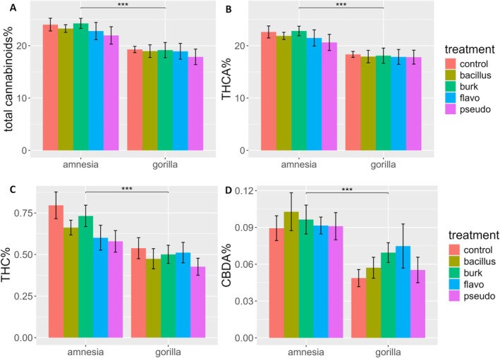 Bar plot of (A) total cannabinoid%, (B) THCA%, (C) THC%, and (D) CBDA% of flower dry weight of an HPLC analysis of Cannabis sativa L. cultivars Amnesia and Gorilla, treated with Bacillus (Bacillus), Burkholderia (Burk), Flavobacterium (Flavo), and Pseudomonas (Pseudo). Bars represent means ± standard errors. A logarithmic transformation was performed for CBDA% as indicated by a Box‐Cox test. Analysis was performed on 79 individuals. For CBDA% on 78 individuals. For results of two‐way ANOVA, see Table 1. Symbols above bars “***” indicate significant differences at p < 0.001.