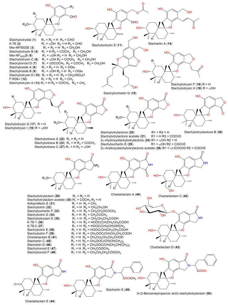 Chemical structures of phenylspirodrimane derivatives (1–50).