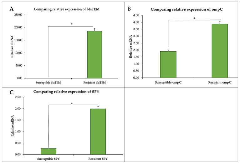 Relative expression of (A) blaTEM, (B) ompC, and (C) spy in CBD-susceptible and CBD-resistant S. typhimurium, * p-values < 0.05.