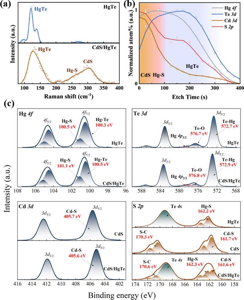 a Raman spectra of pristine HgTe QD and CdS/HgTe thin films. b Depth-profiled XPS analysis (dots) of the CdS/HgTe structure, showing elemental distribution as a function of etching time. Solid lines are given to guide the eye. c XPS spectra of HgTe, CdS, and CdS/HgTe films