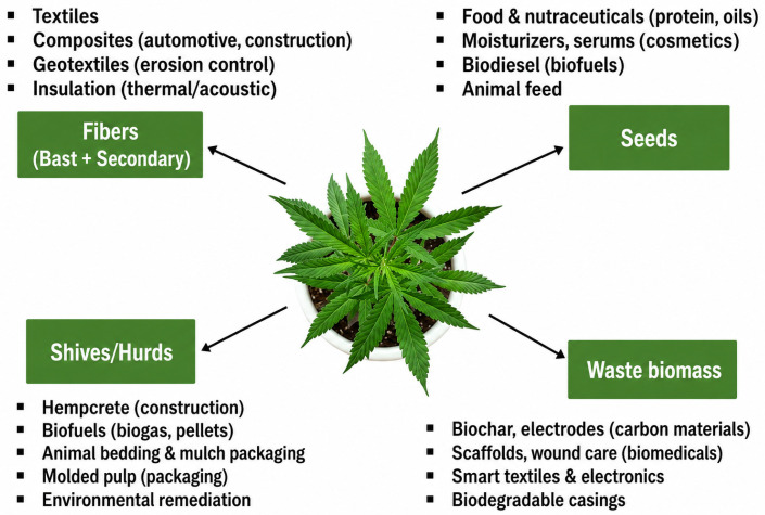 Hemp-based product applications [102].